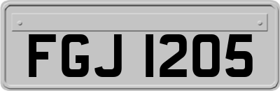 FGJ1205