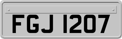 FGJ1207