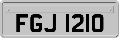 FGJ1210