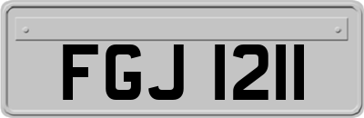 FGJ1211