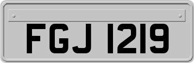 FGJ1219