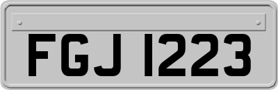 FGJ1223