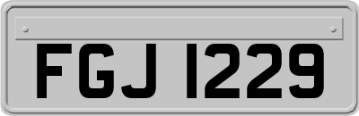 FGJ1229