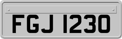 FGJ1230