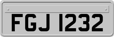 FGJ1232