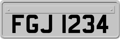 FGJ1234