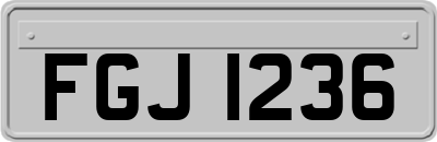 FGJ1236