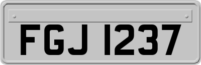 FGJ1237