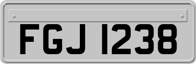 FGJ1238