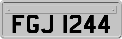 FGJ1244