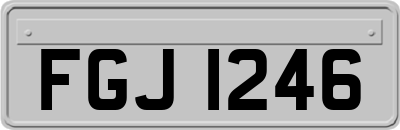 FGJ1246
