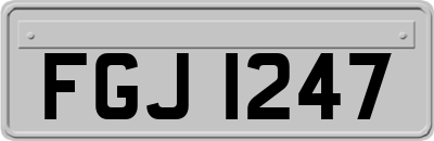 FGJ1247