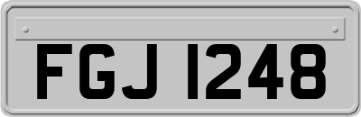 FGJ1248