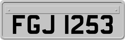 FGJ1253