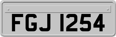 FGJ1254