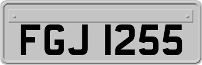 FGJ1255