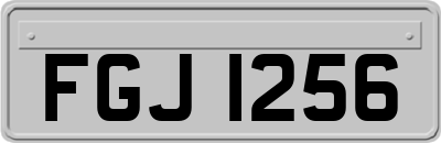 FGJ1256