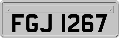 FGJ1267