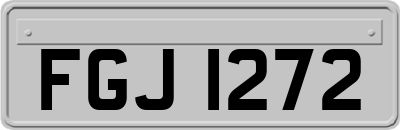 FGJ1272