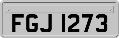 FGJ1273