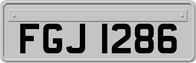 FGJ1286