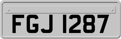 FGJ1287