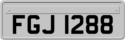FGJ1288