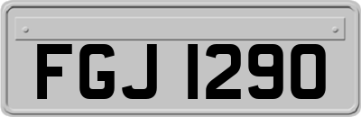 FGJ1290