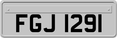 FGJ1291