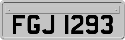 FGJ1293