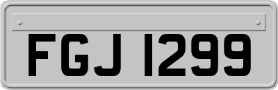 FGJ1299