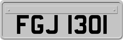 FGJ1301