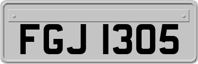 FGJ1305