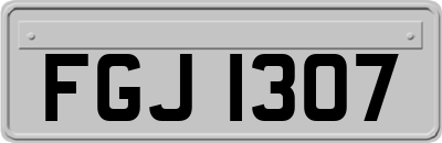 FGJ1307