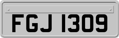 FGJ1309