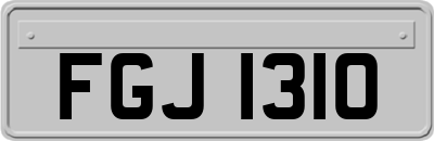 FGJ1310