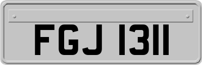 FGJ1311