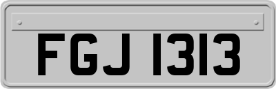 FGJ1313