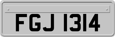 FGJ1314