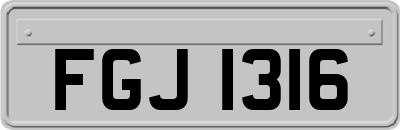 FGJ1316