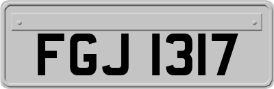FGJ1317