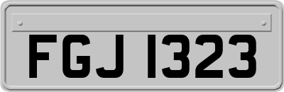 FGJ1323