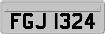 FGJ1324