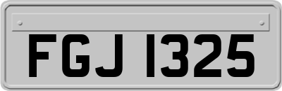 FGJ1325