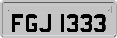 FGJ1333