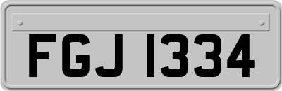 FGJ1334