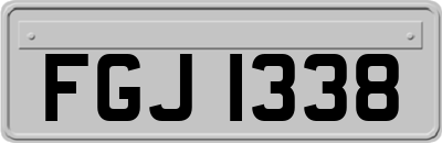 FGJ1338