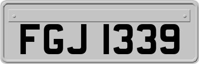 FGJ1339