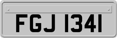 FGJ1341