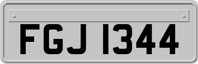 FGJ1344